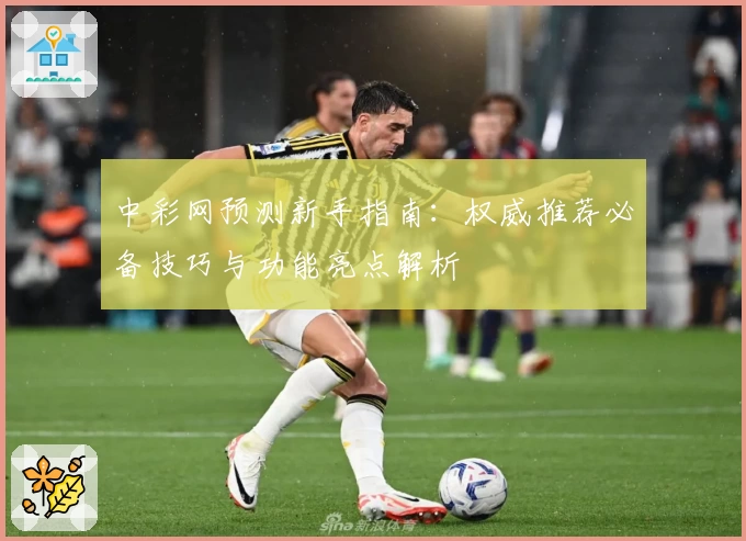 中彩网预测新手指南：权威推荐必备技巧与功能亮点解析