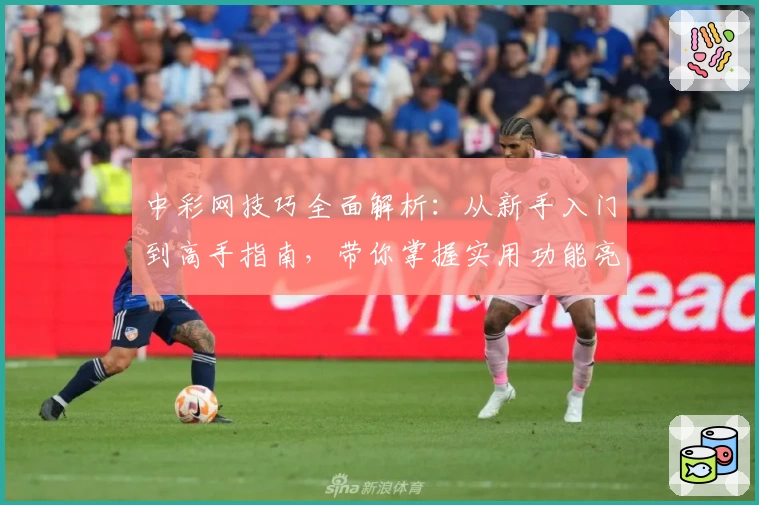 中彩网技巧全面解析：从新手入门到高手指南，带你掌握实用功能亮点