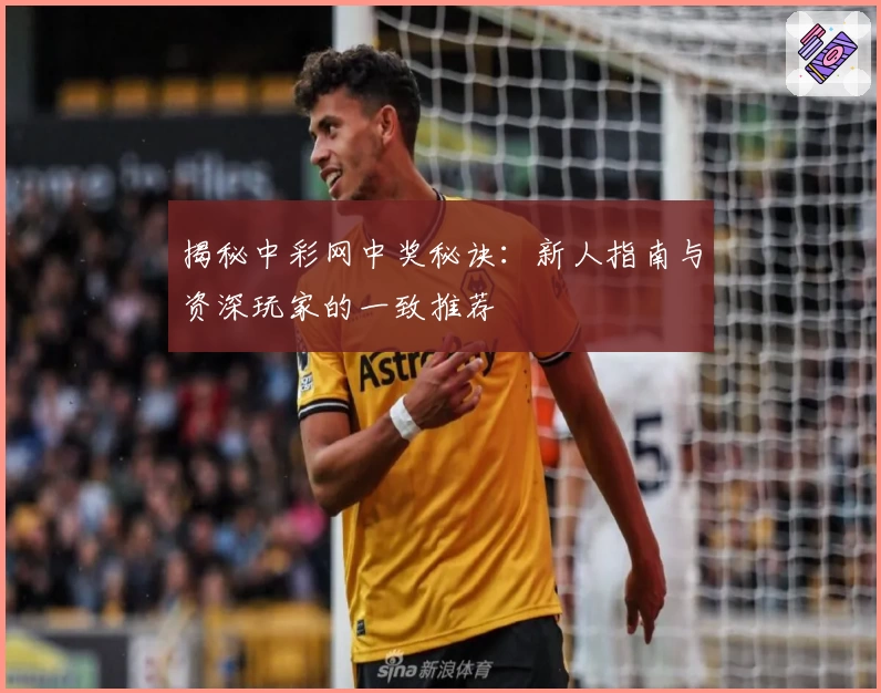 揭秘中彩网中奖秘诀：新人指南与资深玩家的一致推荐