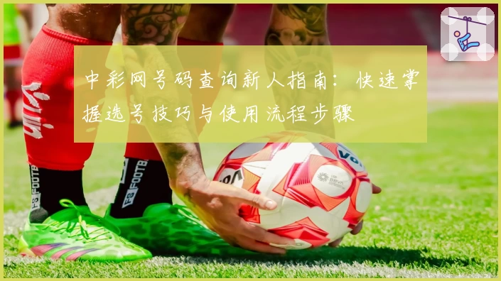 中彩网号码查询新人指南：快速掌握选号技巧与使用流程步骤