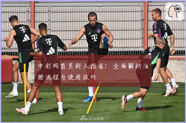 中彩网首页新人指南：全面解析注册流程与使用技巧