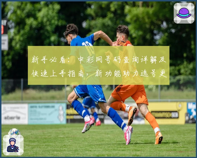 新手必看：中彩网号码查询详解及快速上手指南，新功能助力选号更精准