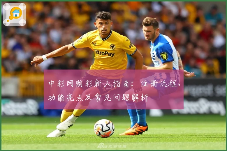 中彩网购彩新人指南:注册流程、功能亮点及常见问题解析