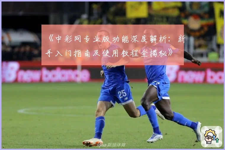 《中彩网专业版功能深度解析:新手入门指南及使用教程全揭秘》