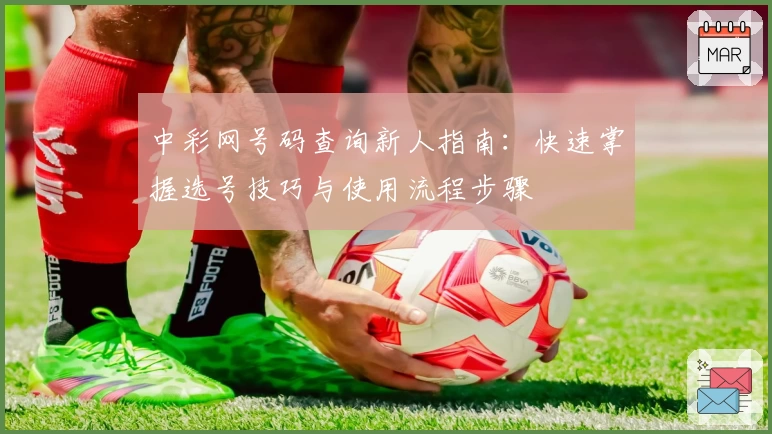 中彩网号码查询新人指南：快速掌握选号技巧与使用流程步骤