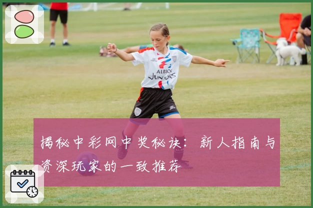 揭秘中彩网中奖秘诀：新人指南与资深玩家的一致推荐