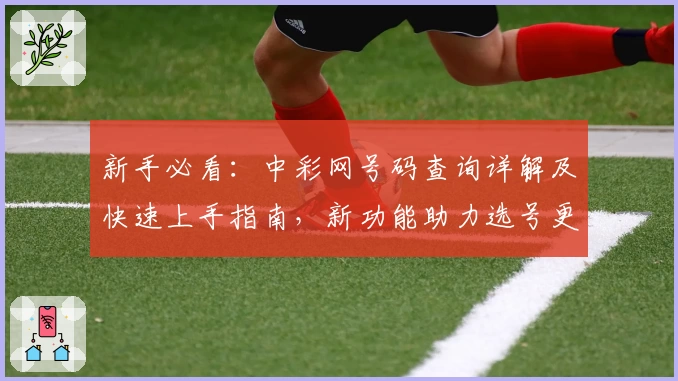 新手必看：中彩网号码查询详解及快速上手指南，新功能助力选号更精准